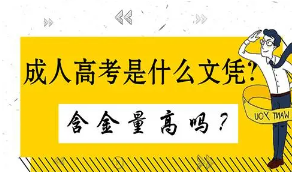 2021年成人高考哪些專業(yè)對(duì)口公務(wù)員考試呢？